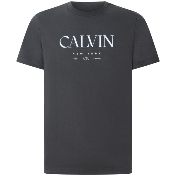 T-shirt grigia con logo per uomo