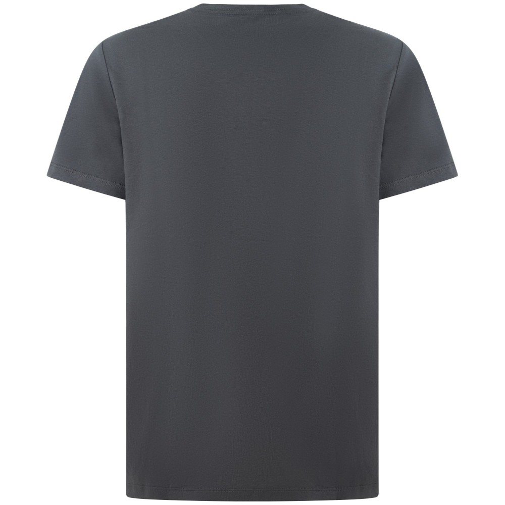 T-shirt grigia con logo per uomo