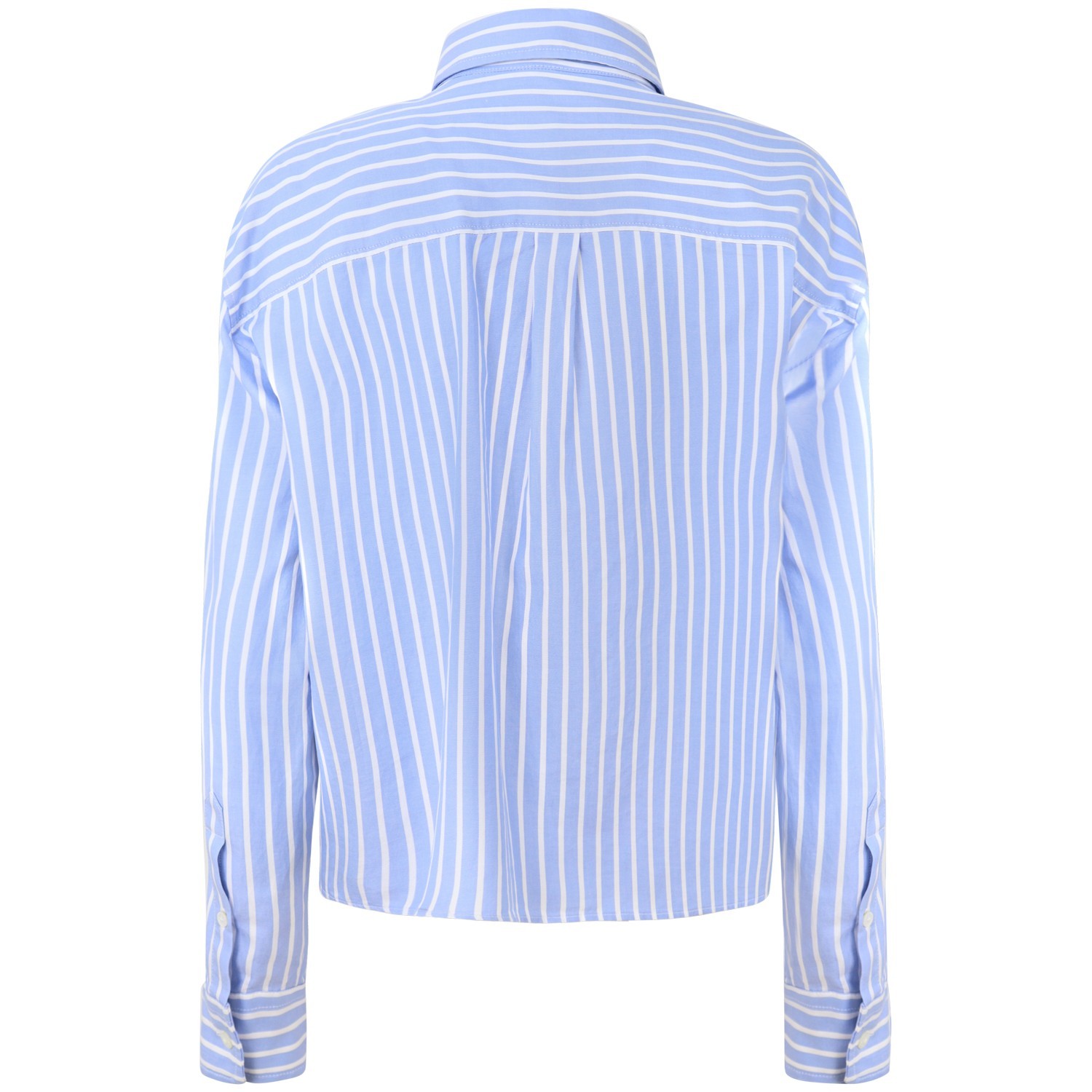 Camicia celeste  per donna 'WKDCARTONE' 2