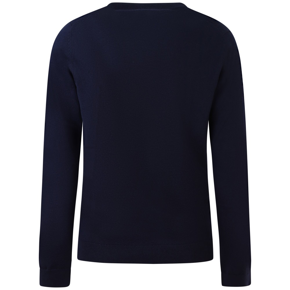 Maglione blu con mini logo per uomo